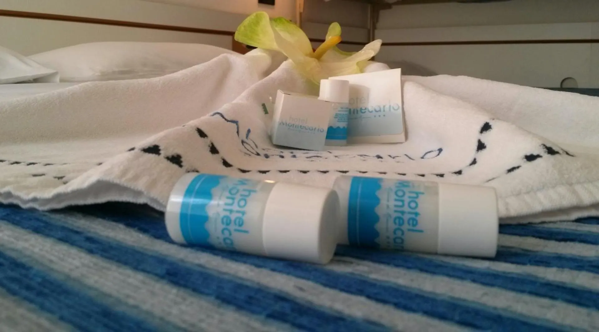 Hotel Montecarlo Rivazzurra Di Rimini 3*,  Italy